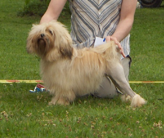 Sampo in Norwegian ClubShow 2007