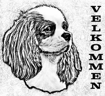 Image done by Wanted - COPYRIGHT!!!
