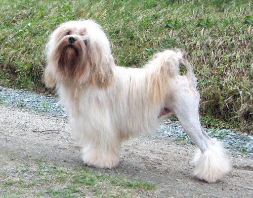 Sampo 2 years