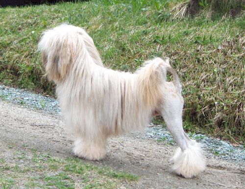 Sampo